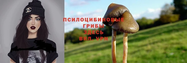 a pvp Балабаново