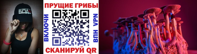 где найти   omg зеркало  Псилоцибиновые грибы прущие грибы  Пыть-Ях 
